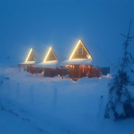 Mountain House Bjanka Villa Žabljak Dış mekan fotoğraf