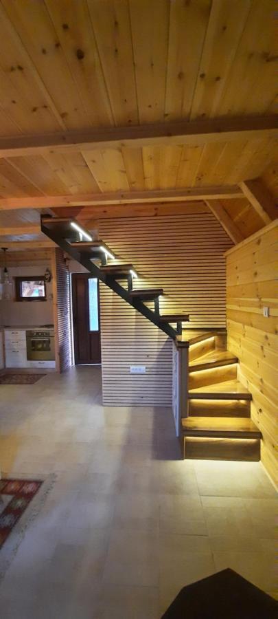 Mountain House Bjanka Villa Žabljak Dış mekan fotoğraf