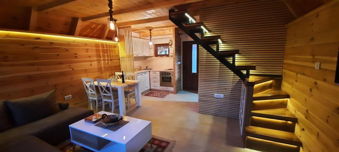 Mountain House Bjanka Villa Žabljak Dış mekan fotoğraf